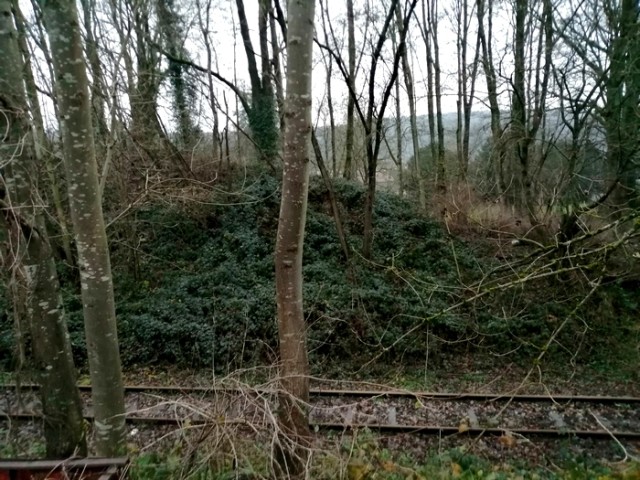 mur tallus olloy.jpg