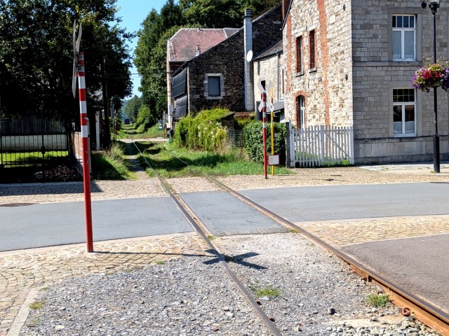 01 1 train.jpg