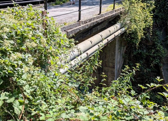 pont detail.jpg