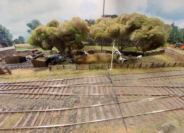 WOODHILL GOODS - 20250907_091743.jpg