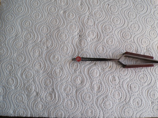 100_0079.JPG