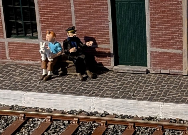 tintin.jpg