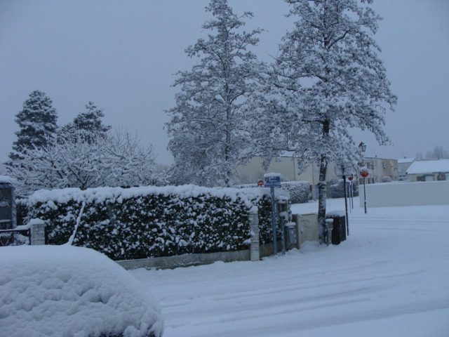 DSC04192.JPG