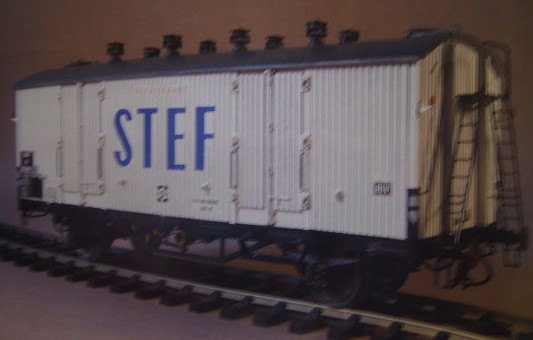 stef_IB_opt.jpg