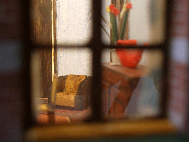 IMGP9694.gif